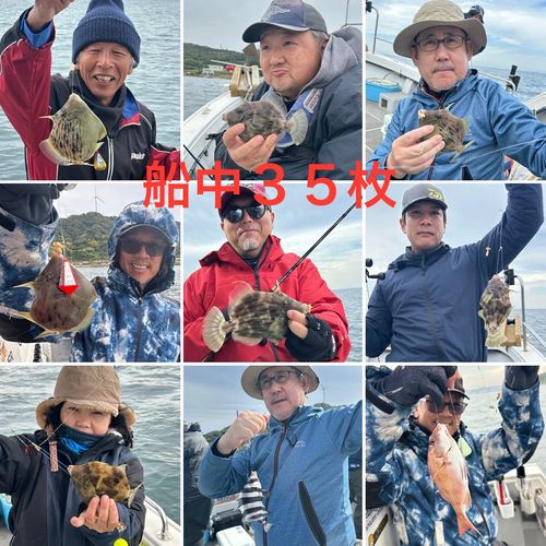 カワハギの釣果