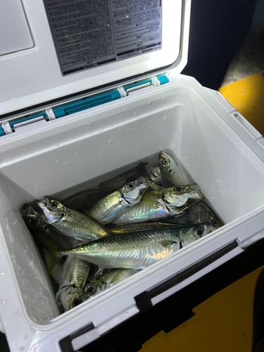 大黒海づり施設