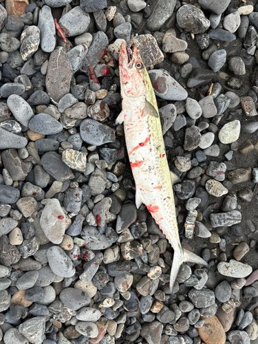 大浜海岸（静岡）