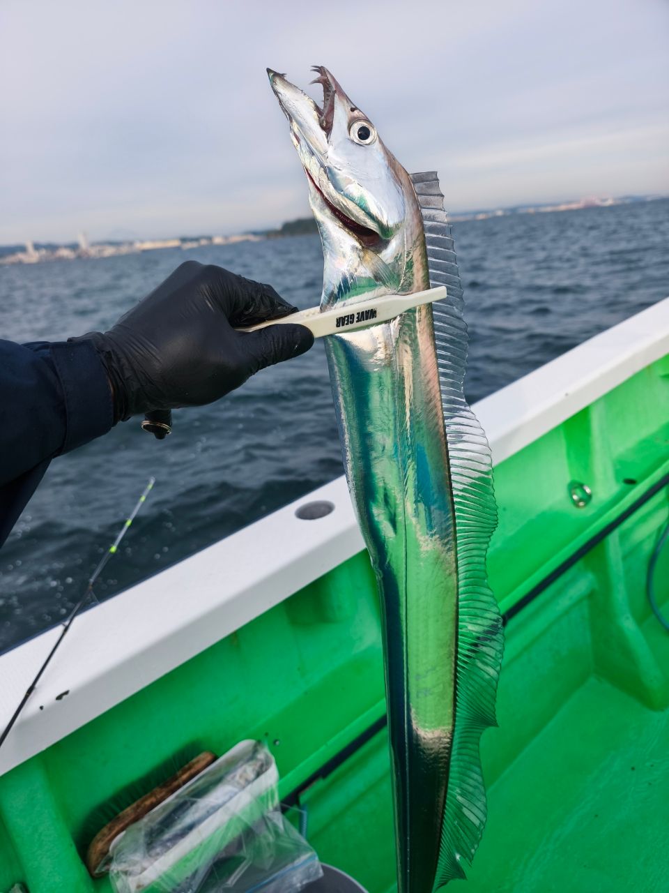 にーたかさんの釣果 1枚目の画像
