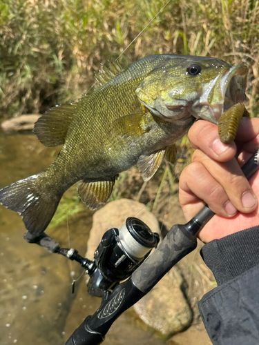 木津川下流（京都）