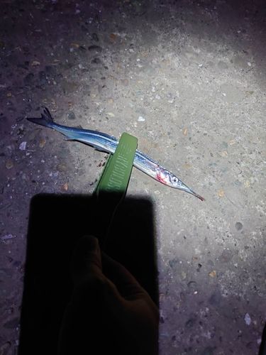 秋田火力発電所前