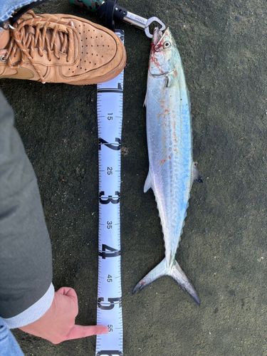 日和山浜海水浴場