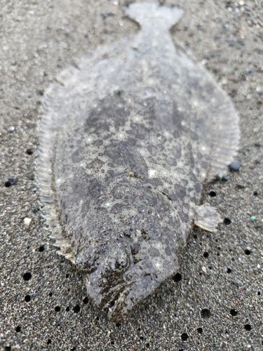 辻堂海浜公園前