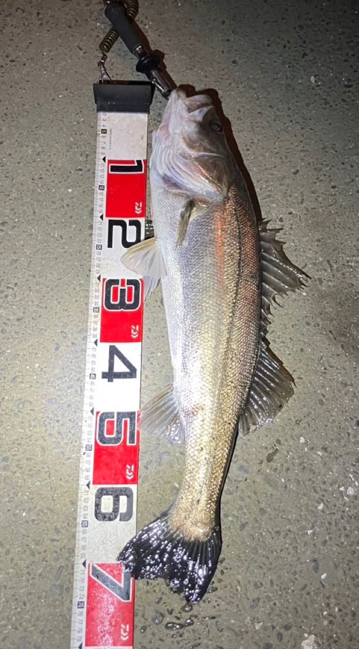 Megabass 空海 CK-92MLSの最安値・インプレ・釣果 | 本音の口コミが