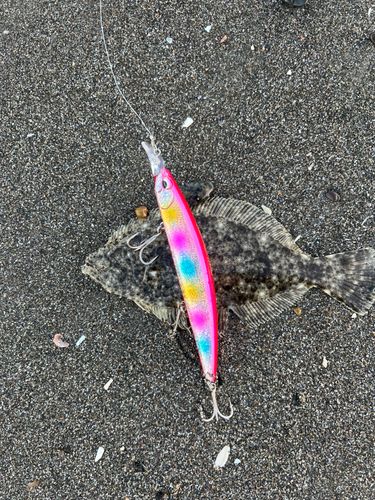 新舞子海岸（富津）