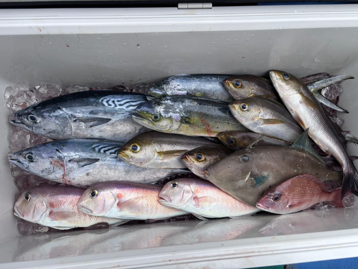 山梨のマダニさんの釣果 1枚目の画像
