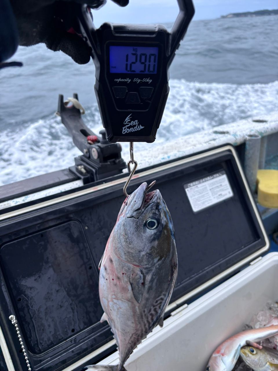 山梨のマダニさんの釣果 3枚目の画像