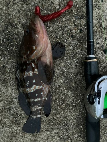 知多半島野池群