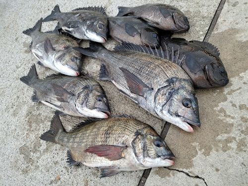 南芦屋浜ベランダ