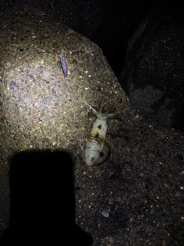 日吉原公共埠頭