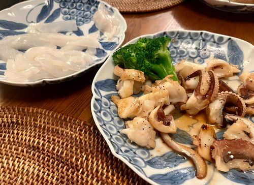 モンゴウイカの釣果