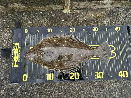 三陸海岸（岩手）