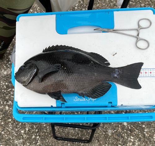 うみかぜ公園付近