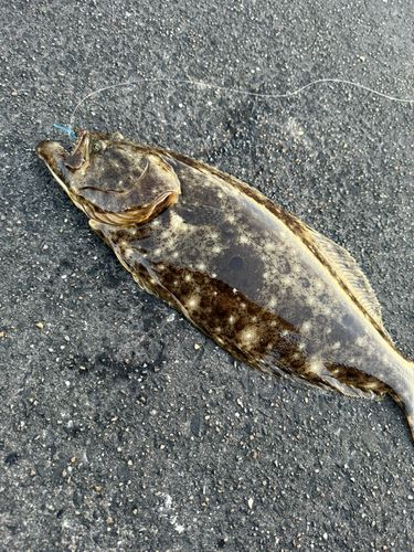 相馬港釣り桟橋