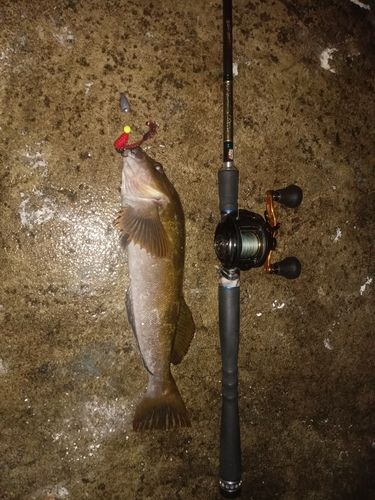 キラキラ公園（苫小牧西港）