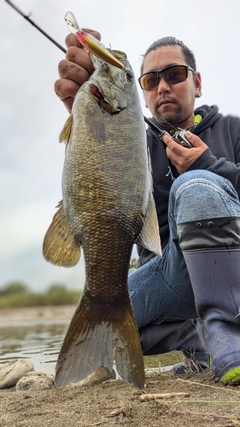 スモールマウスバスの釣果