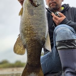 スモールマウスバス