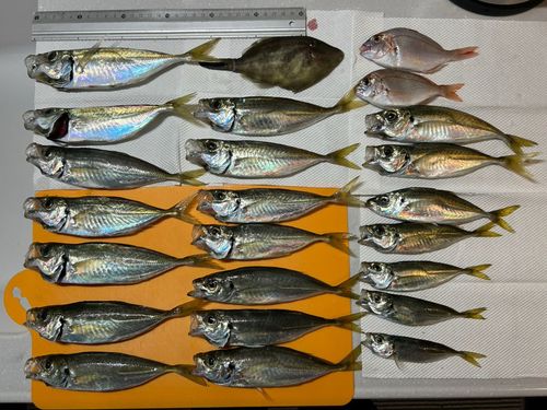 小名浜港アクアマリンふくしま周辺