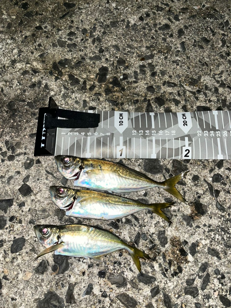 MajorCraft 鯵道 5G AD5-S682M/AJIの最安値・インプレ・釣果 | 本音の