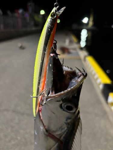 中央埠頭（博多湾）