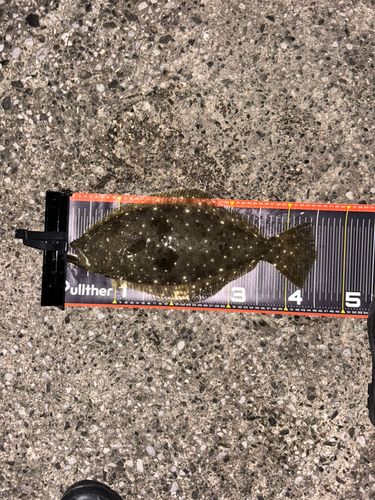 東京湾（アクアライン〜富津）