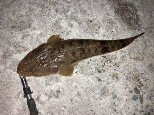 秋田火力発電所前