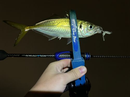 東京湾（アクアライン〜富津）