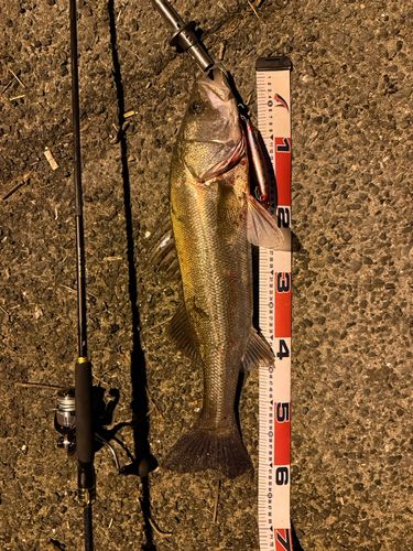 太田川河口（磐田）