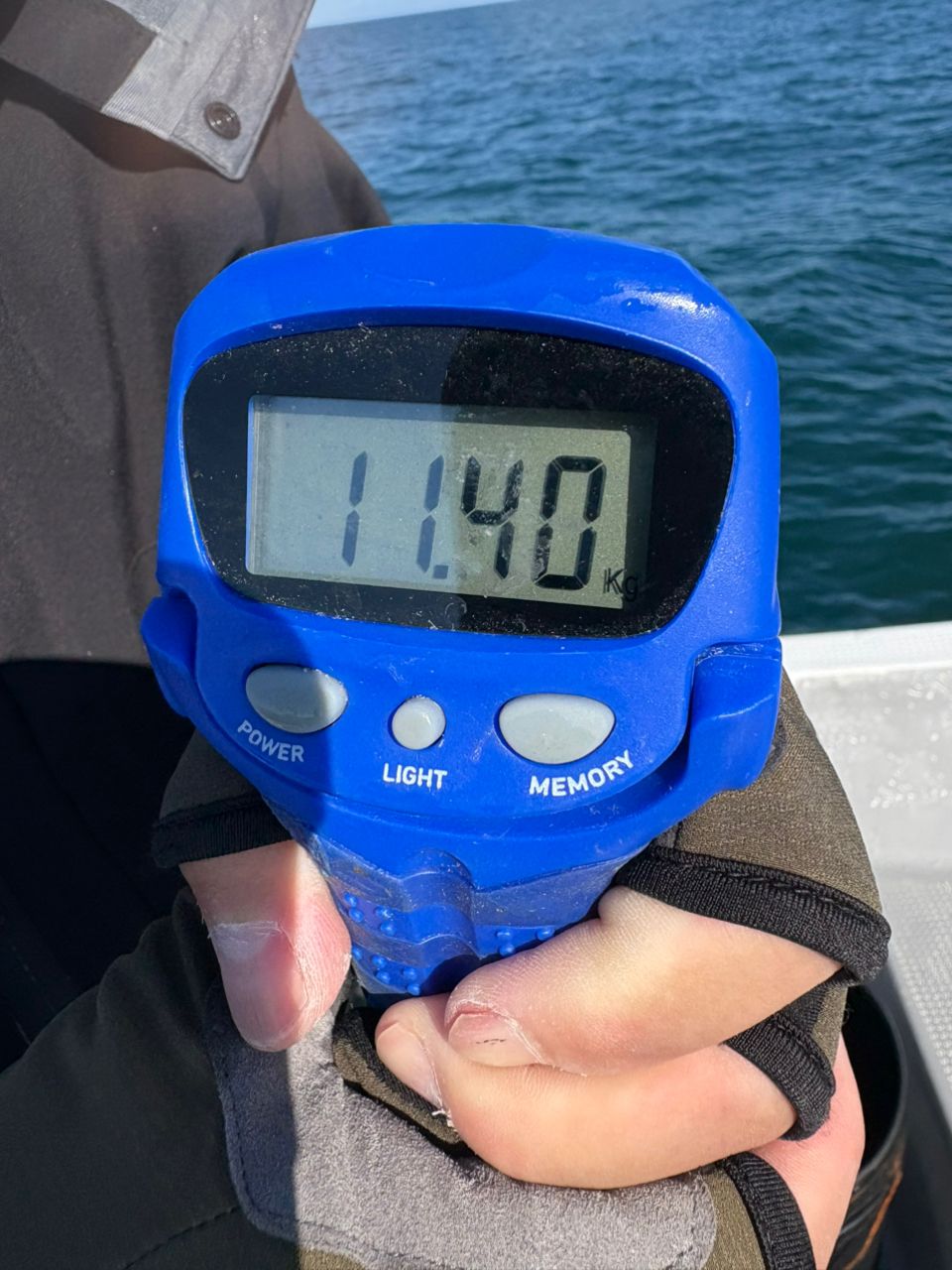 Ashuraさんの釣果 3枚目の画像