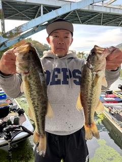 ブラックバスの釣果