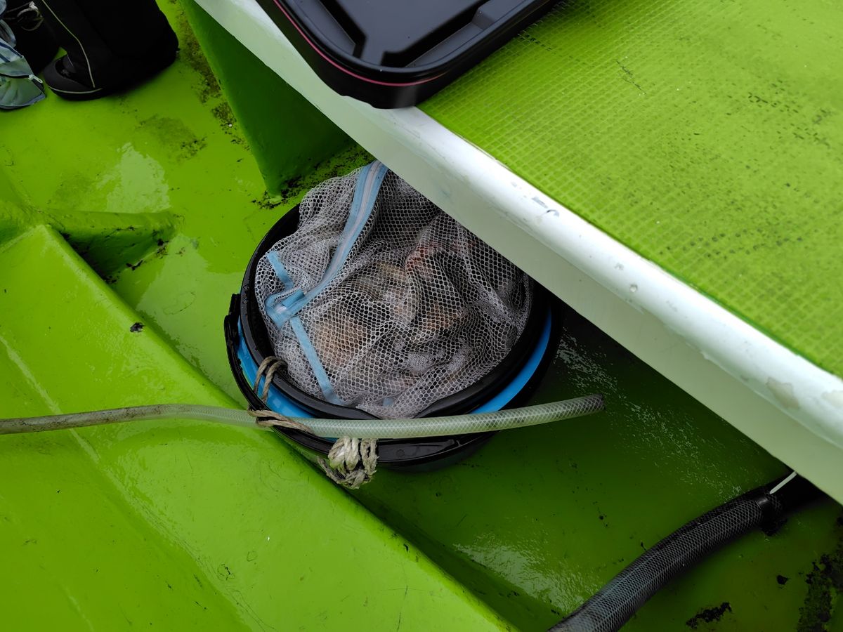 ツグオ2622さんの釣果 2枚目の画像