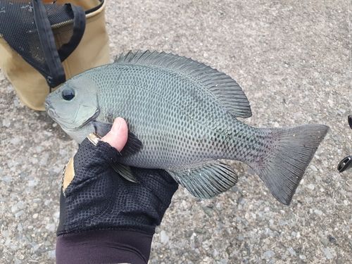 うみかぜ公園付近