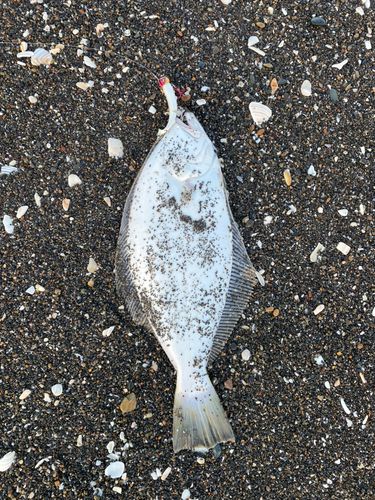 三陸海岸（青森）