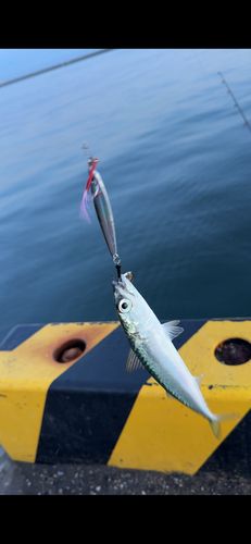 一万トン岸壁（八戸）