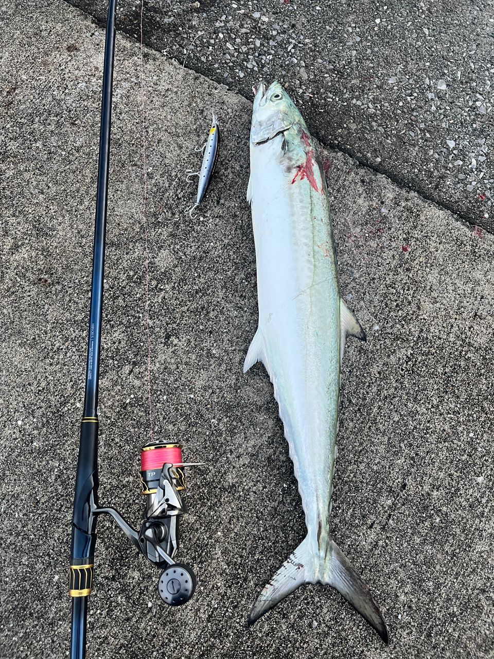 SHIMANO 23ネッサ リミテッド S110MH+の最安値・インプレ・釣果 | 本音