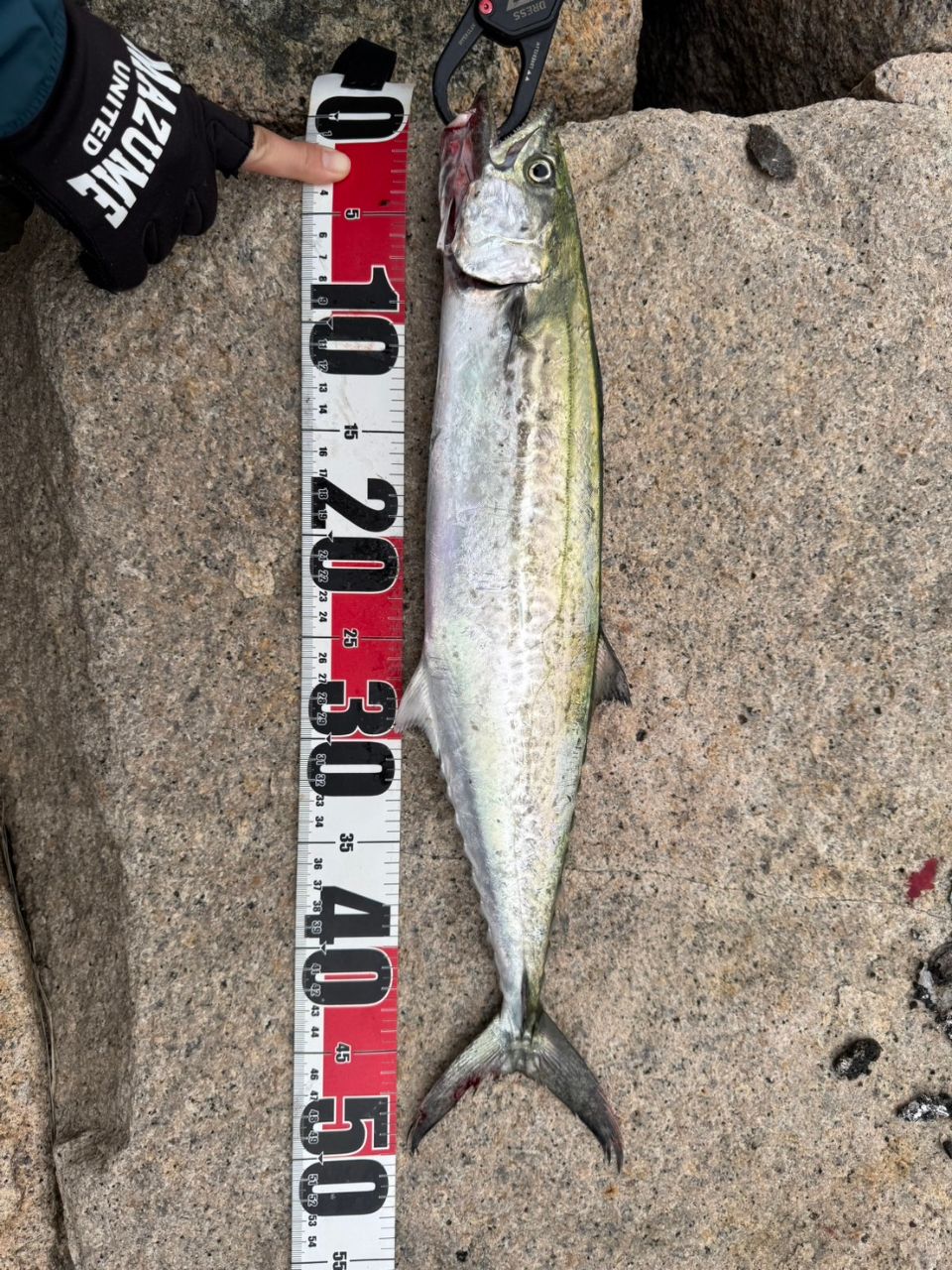 DAIWA 22ネオステージ TT 93Mの最安値・インプレ・釣果 | 本音の口コミ