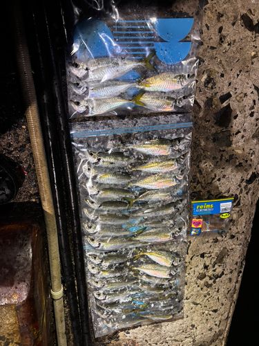 関門海峡（山口）