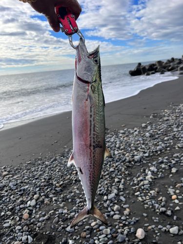 大浜海岸（静岡）