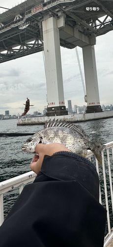 横浜沖堤防 ハナレ