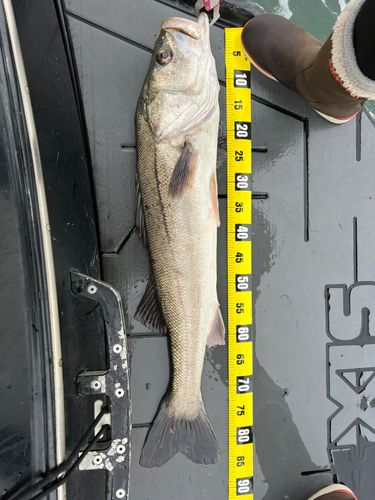 ディズニーリゾート沖