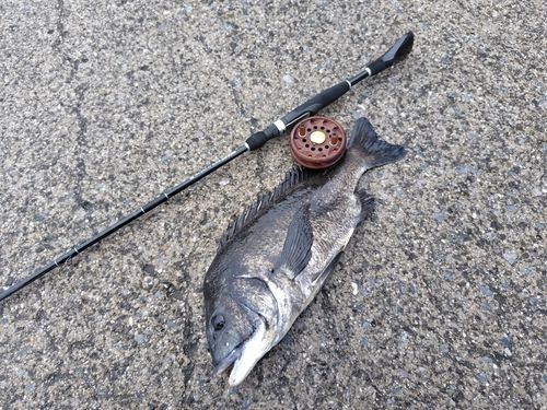 本牧海づり施設