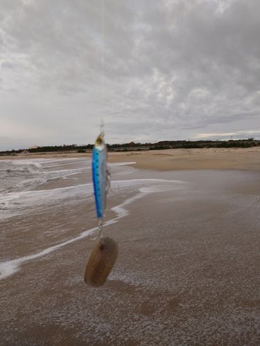 新舞子海岸（いわき）