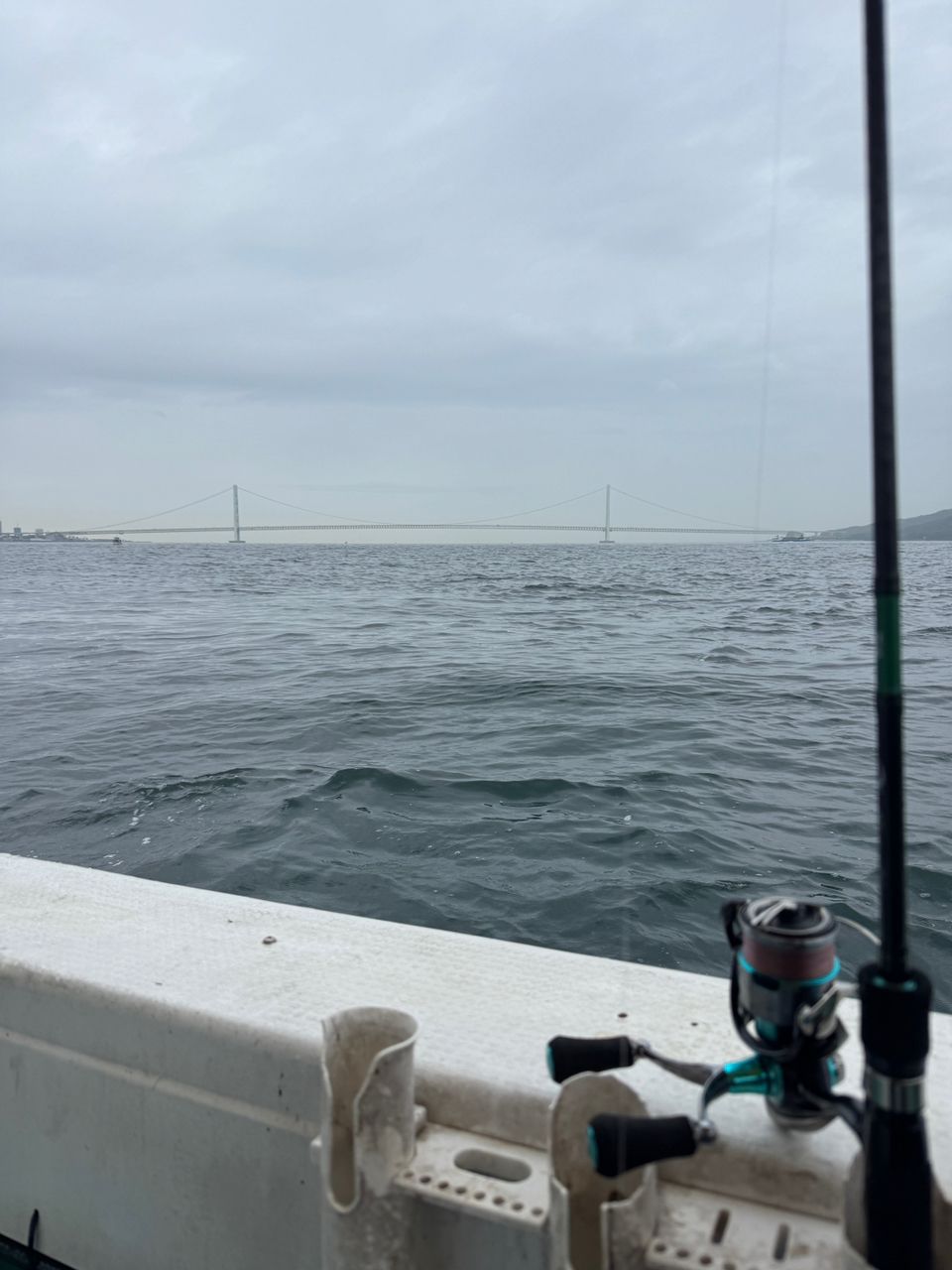 釣り人どんぐり@兵庫さんの釣果 2枚目の画像