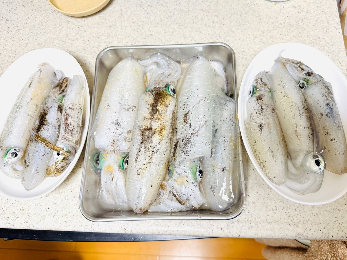 釣り人どんぐり@兵庫さんの釣果 3枚目の画像