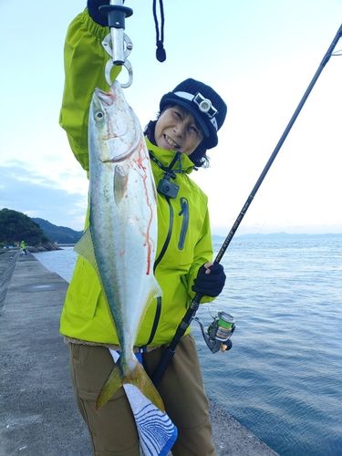 松ヶ崎（今治）