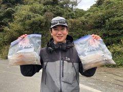 ヤリイカの釣果