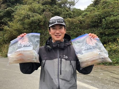 ヤリイカの釣果