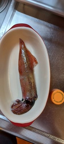 小樽港厩町岸壁