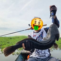 ジャイアントスネークヘッド